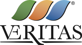 Logo Gruppo Veritas